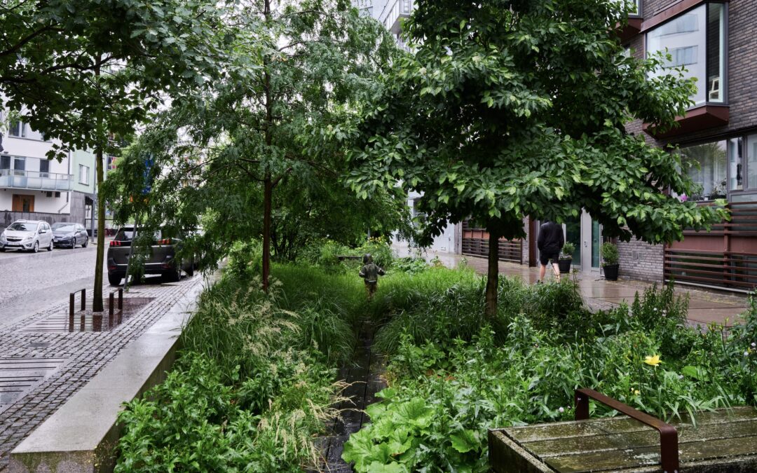 Uppbyggnad och växtval för regnbäddar 17 april 2024 – Stockholm